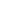 icon CO OZNACZA